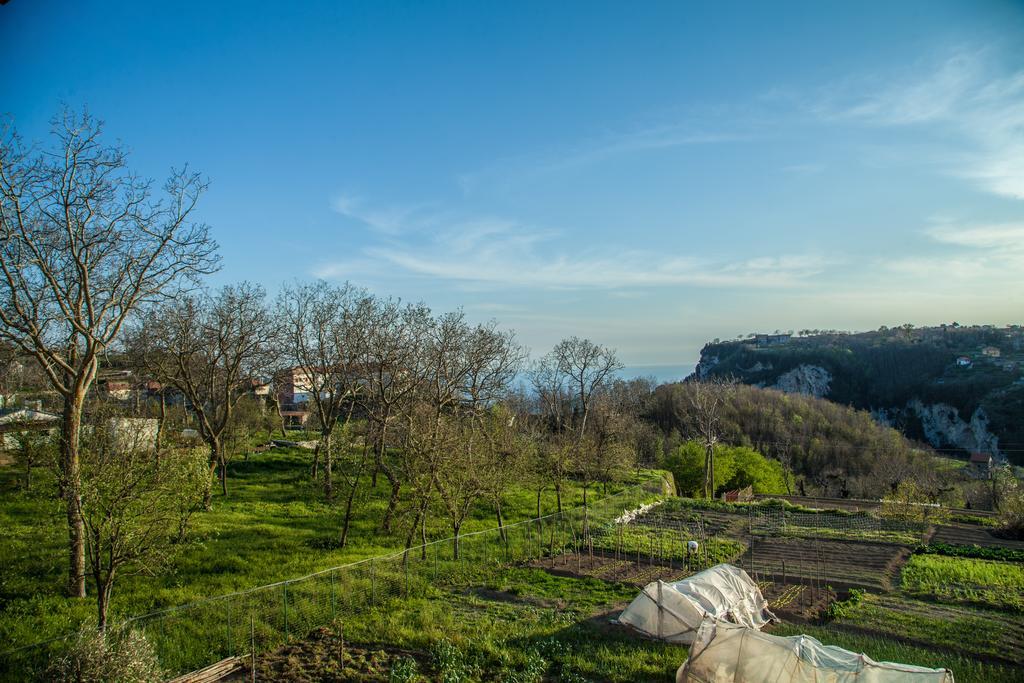 Готель Da Zia Adele Аджерола Номер фото